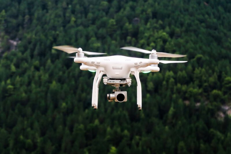 Beginner’s Guide To Using Drones For Wildlife Monitoring And Research