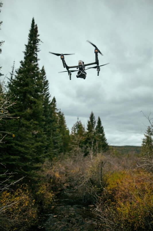 How Drones Are Being Used For Wildlife Conservation And Anti-poaching Efforts